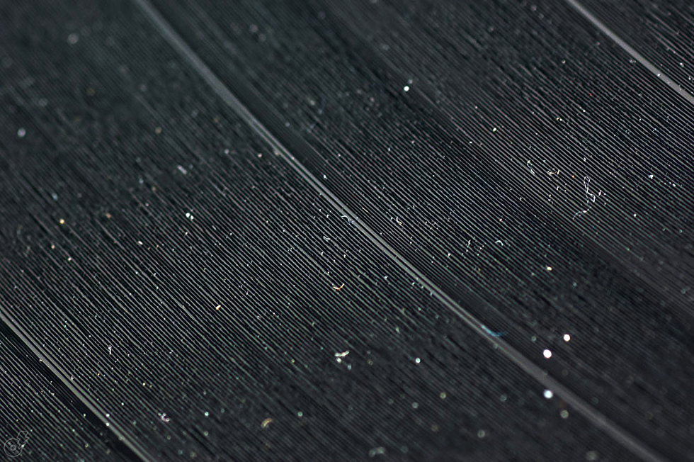 cleaning_vinyl_01-1.jpg